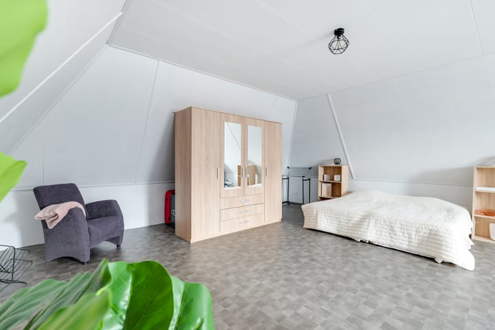 Photo 67 of Narcis 10