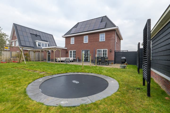 Photo 79 of Narcis 10