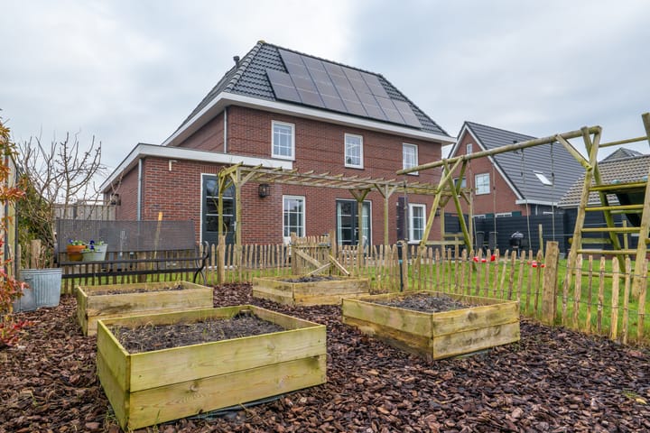 Photo 80 of Narcis 10