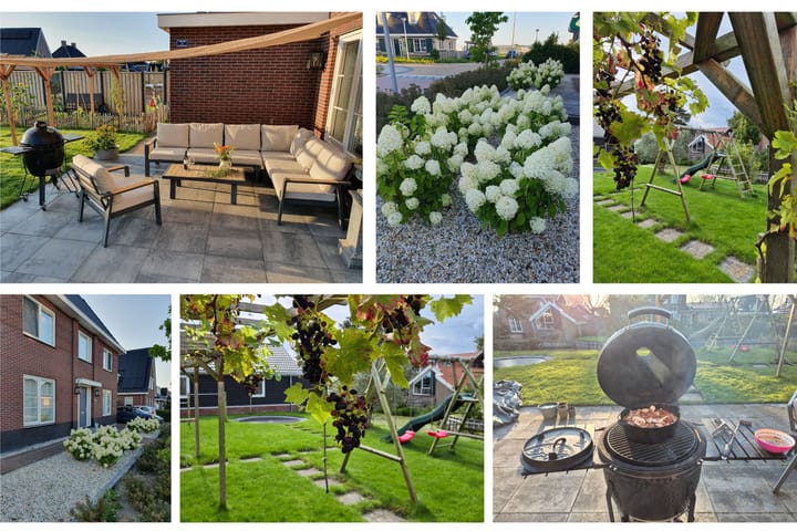 Photo 81 of Narcis 10