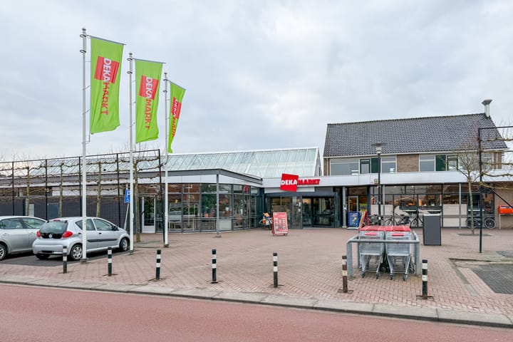 Photo 83 of Narcis 10