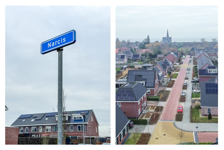 Photo 84 of Narcis 10