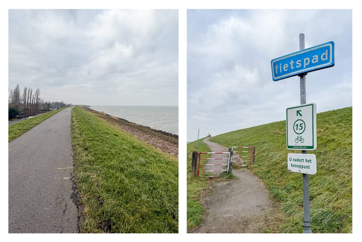 Photo 86 of Narcis 10