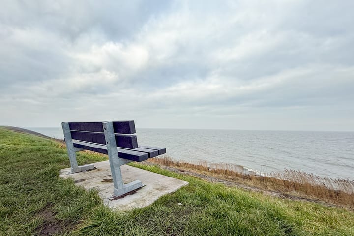 Photo 87 of Narcis 10