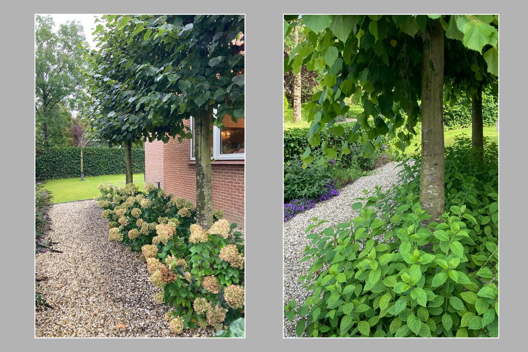 Foto 47 van Frans Duwaerstraat 3