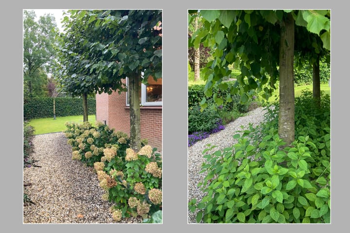 Photo 47 of Frans Duwaerstraat 3