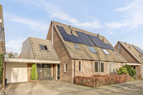 undefined main image