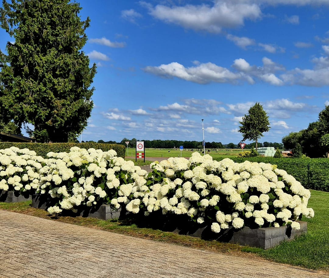 Foto 62 van Bovensteveenweg 2