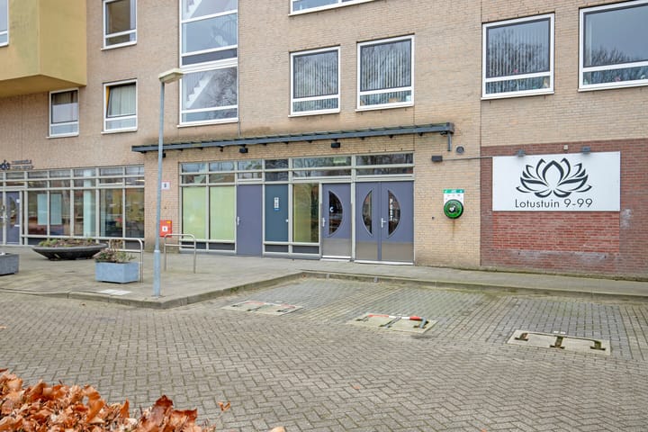 Foto 4 van Lotustuin 41