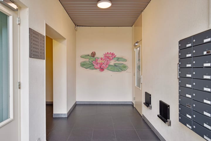 Foto 5 van Lotustuin 41