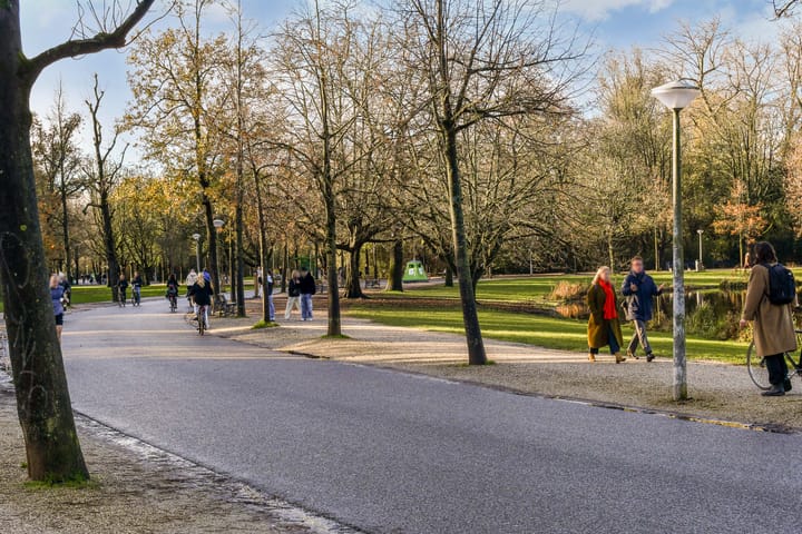 Foto 39 van Van Breestraat 147-H