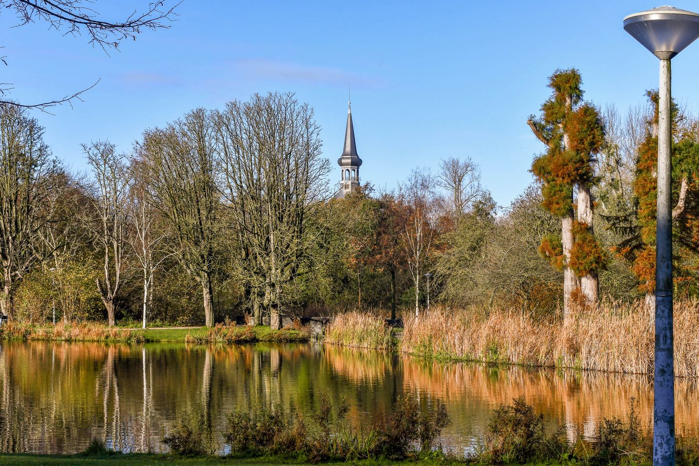 Foto 40 van Van Breestraat 147-H