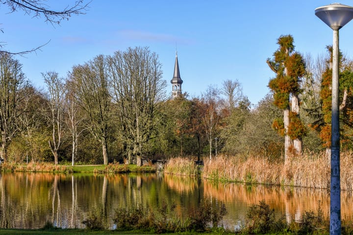 Foto 40 van Van Breestraat 147-H