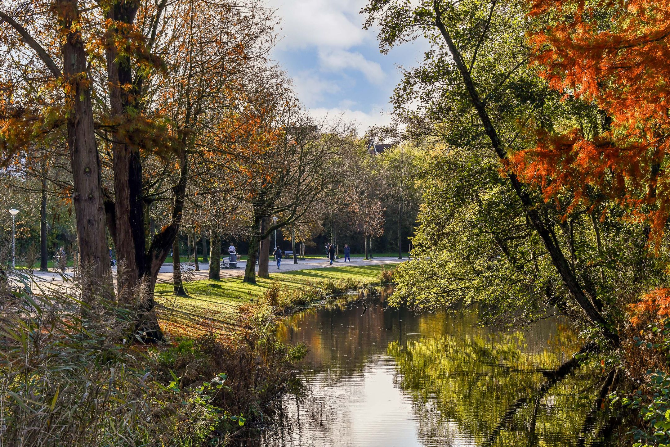 Foto 42 van Van Breestraat 147-H