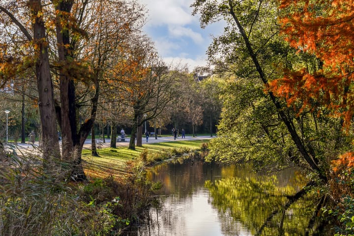 Foto 42 van Van Breestraat 147-H