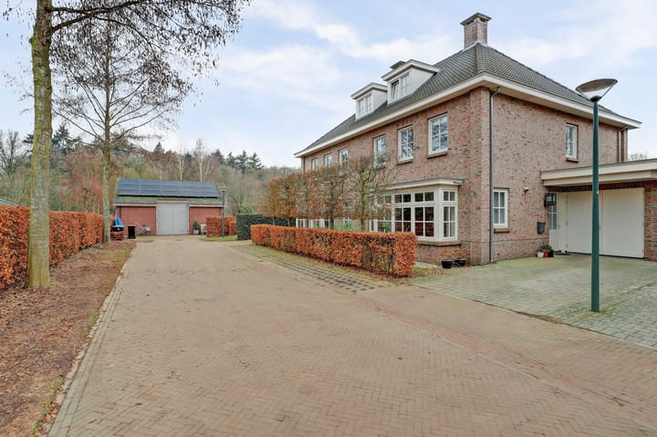 Foto 41 van Daslook 18