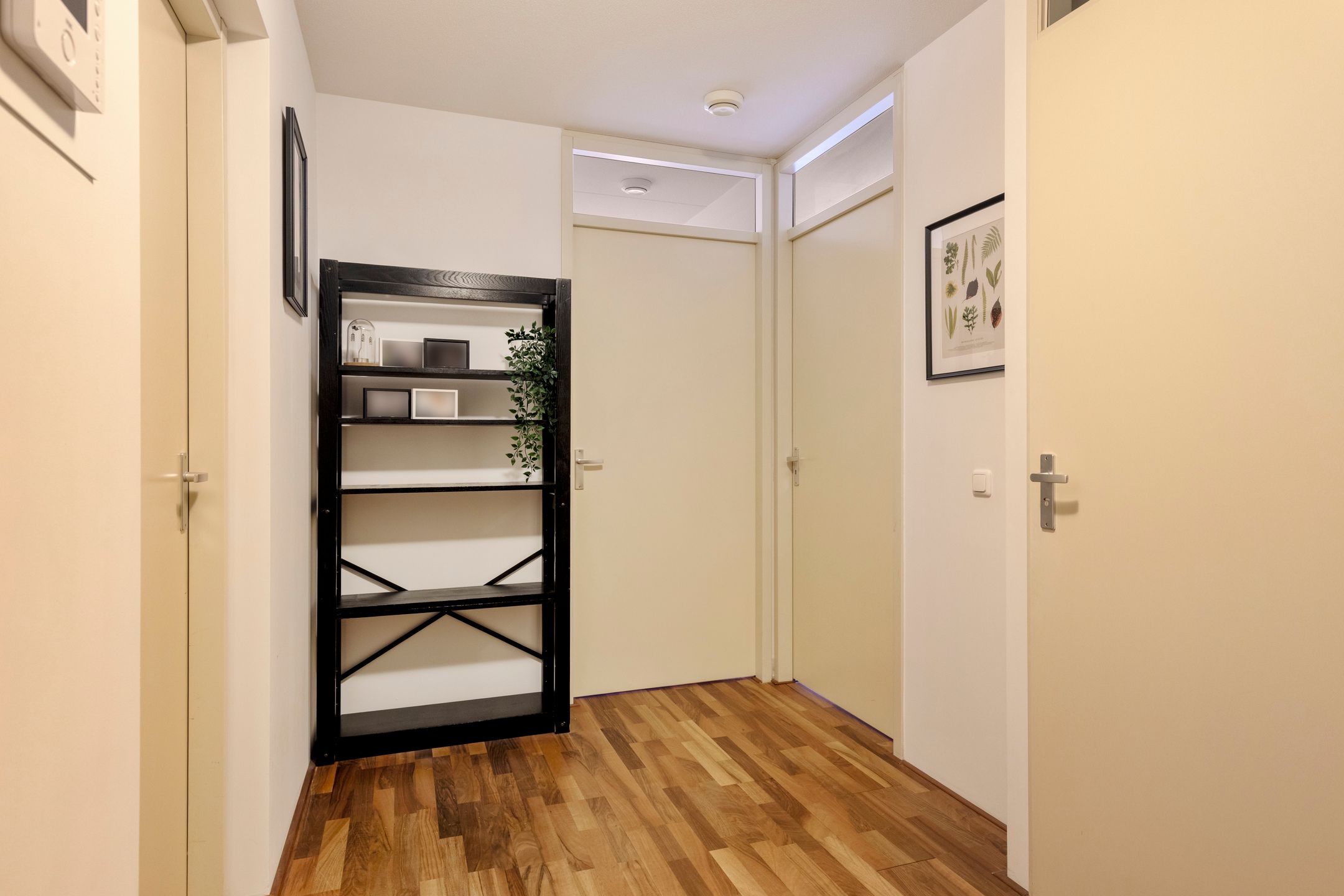 Foto 12 van Lichtstraat 16