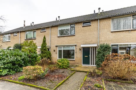 undefined main image