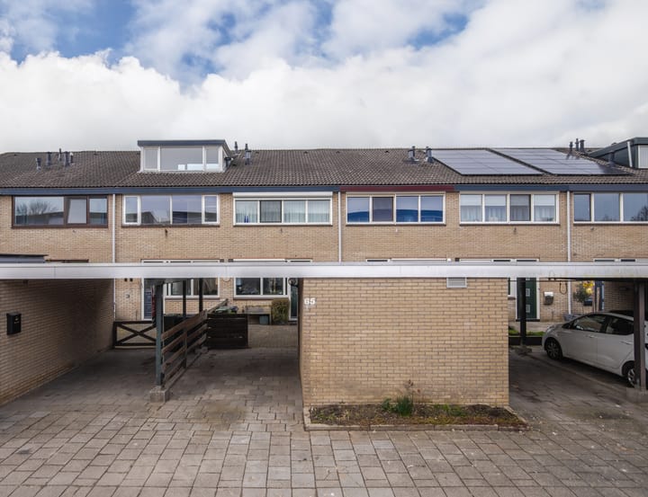 Halve Morgen 65 main image