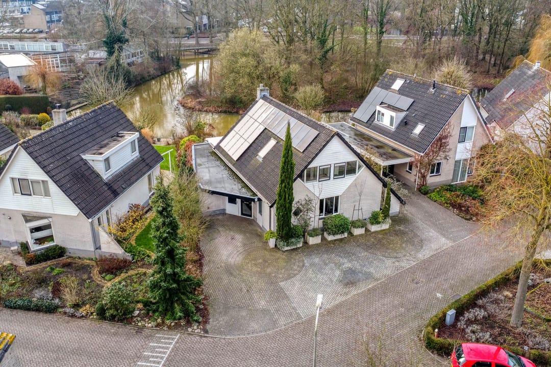 Foto 1 van Hermelijn 43