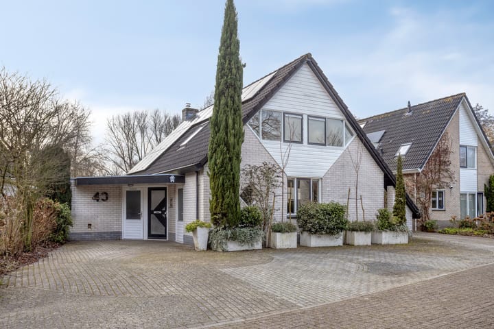 Photo 2 of Hermelijn 43