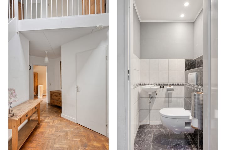 Photo 3 of Hermelijn 43