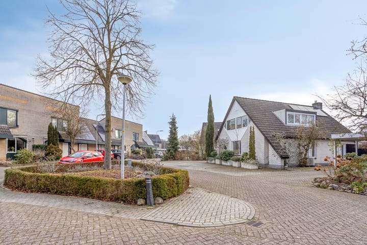 Photo 4 of Hermelijn 43