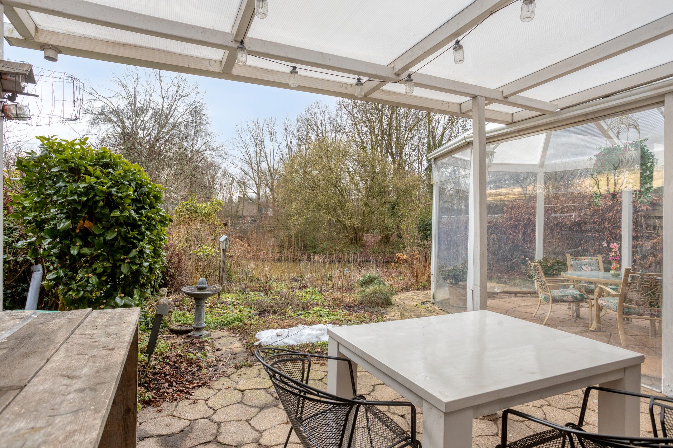 Foto 30 van Hermelijn 43