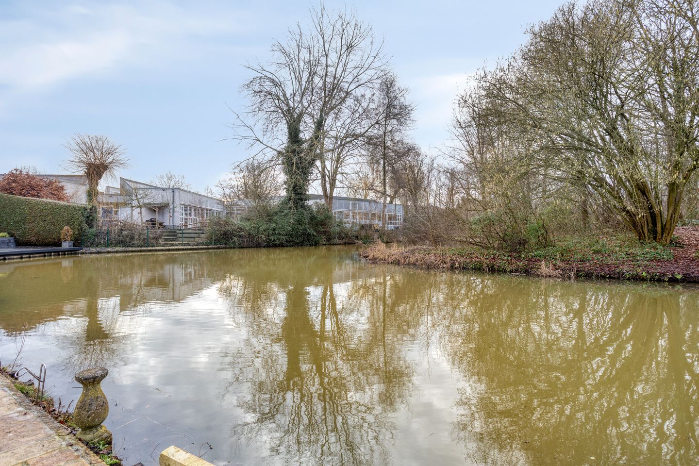 Foto 35 van Hermelijn 43