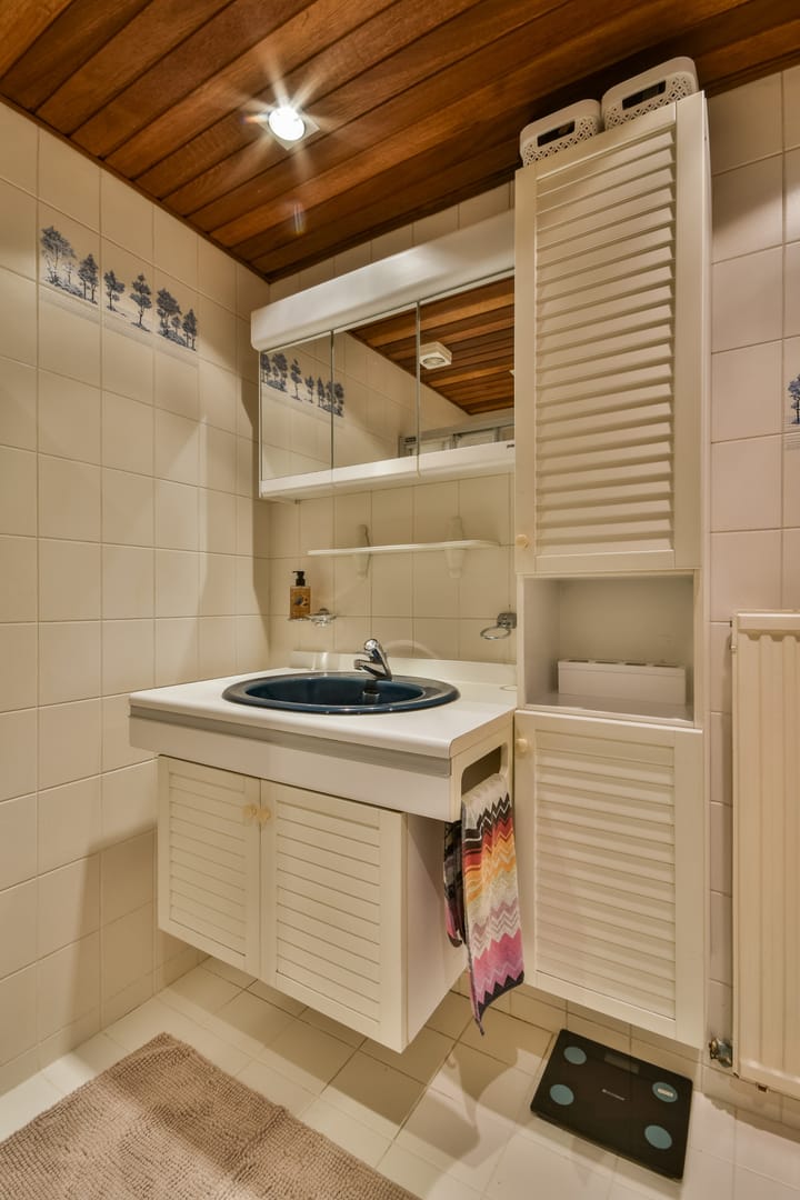 Foto 19 van Amestelle 231