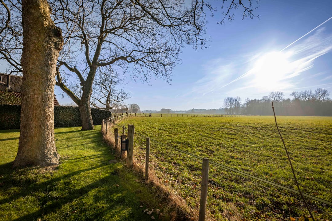 Foto 11 van de Leuke 6