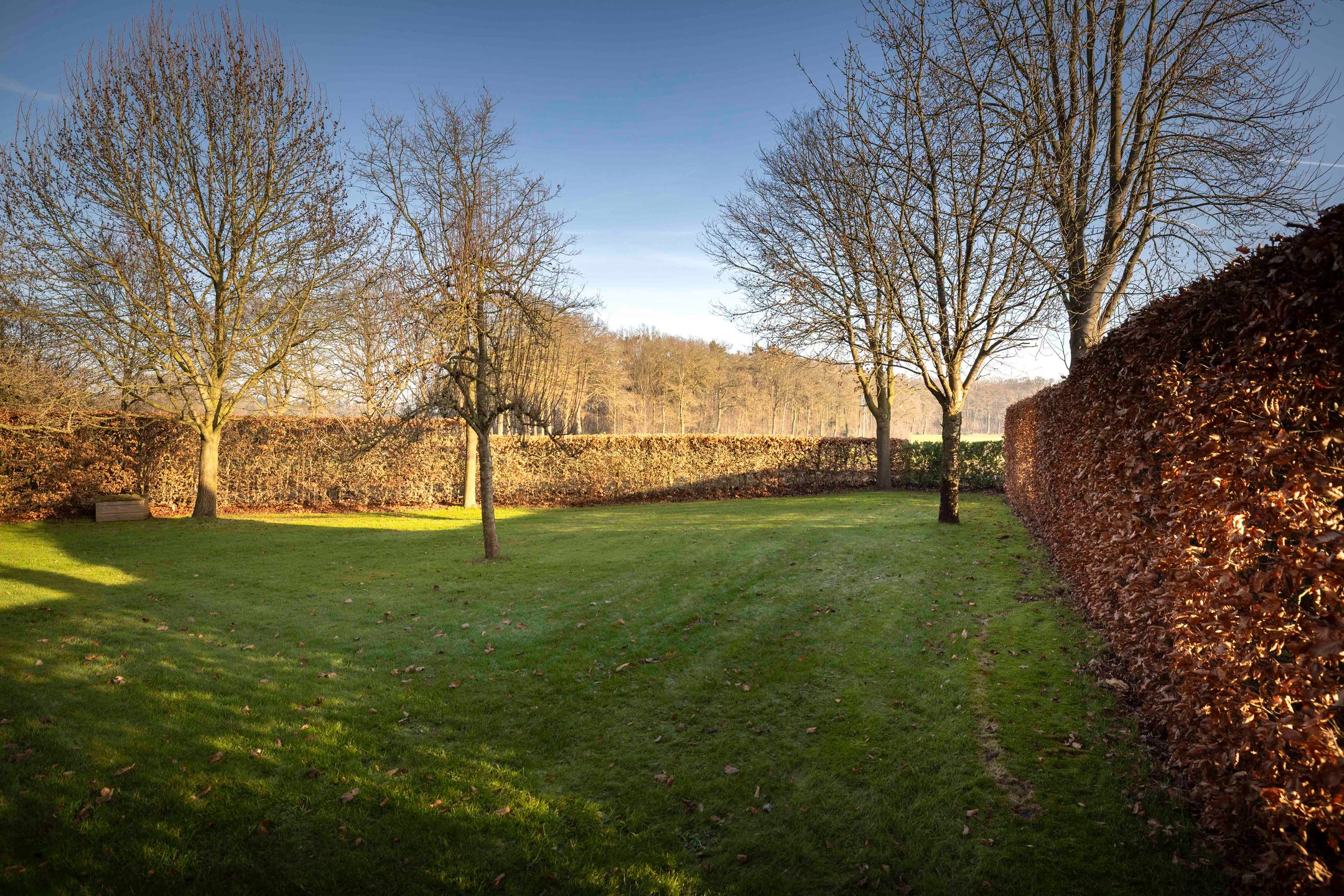 Foto 48 van de Leuke 6