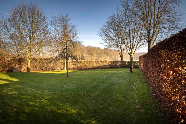 Foto 48 van de Leuke 6