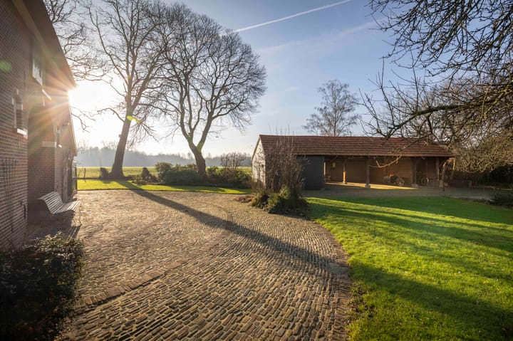 Foto 49 van de Leuke 6