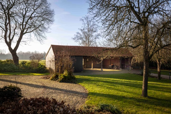 Foto 50 van de Leuke 6