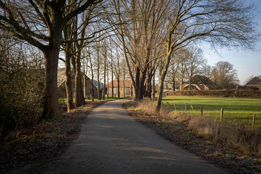 Foto 52 van de Leuke 6