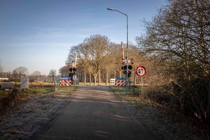 Foto 56 van de Leuke 6