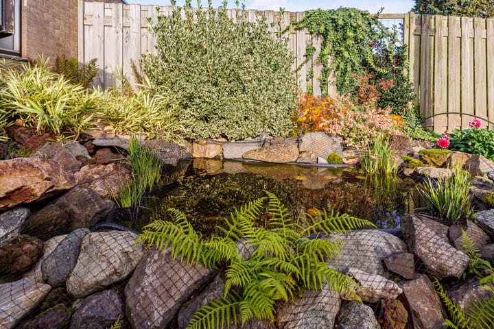 Photo 30 of de Ruyterstraat 10