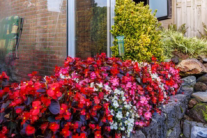 Photo 32 of de Ruyterstraat 10