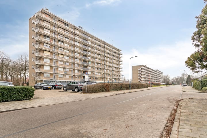 Foto 42 van Hobokenstraat 221