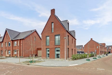 Turkse hazelaarstraat thumbnail