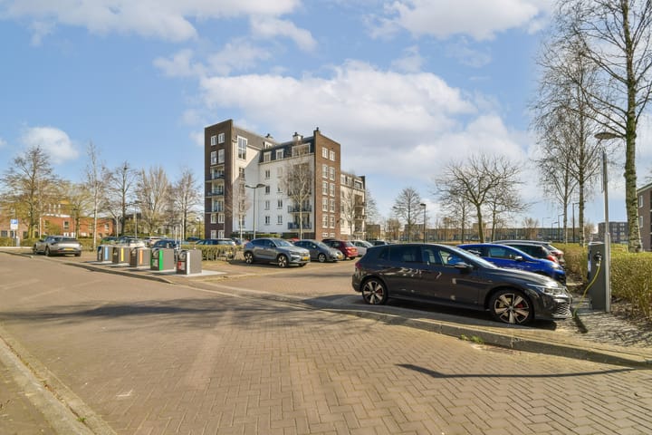 Photo 32 of Westerschelde 12