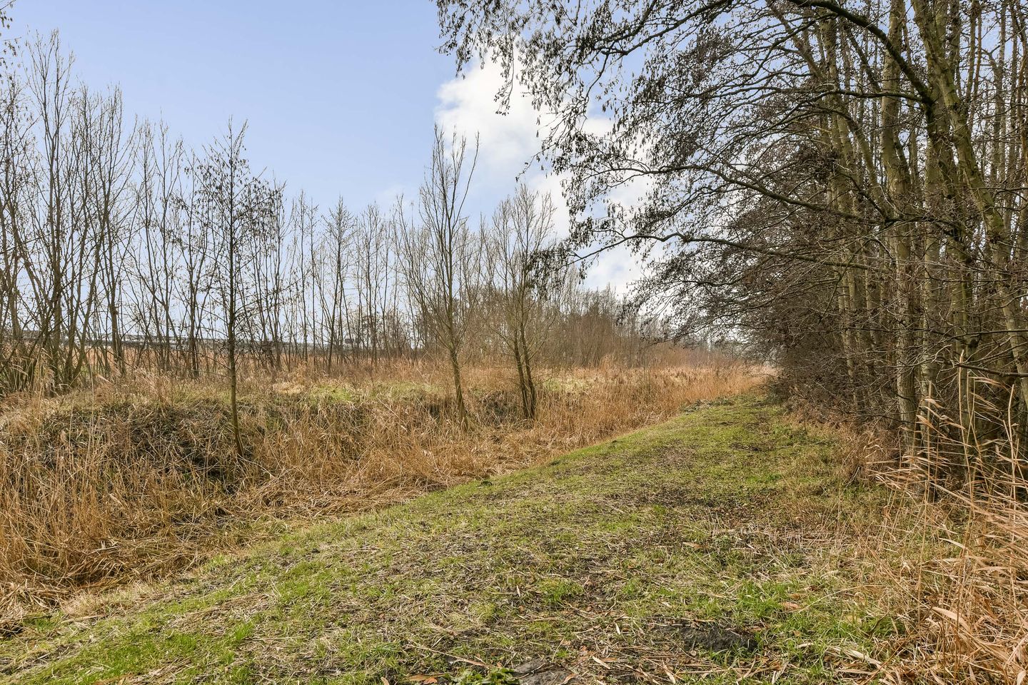 Foto 29 van Windestraat 150