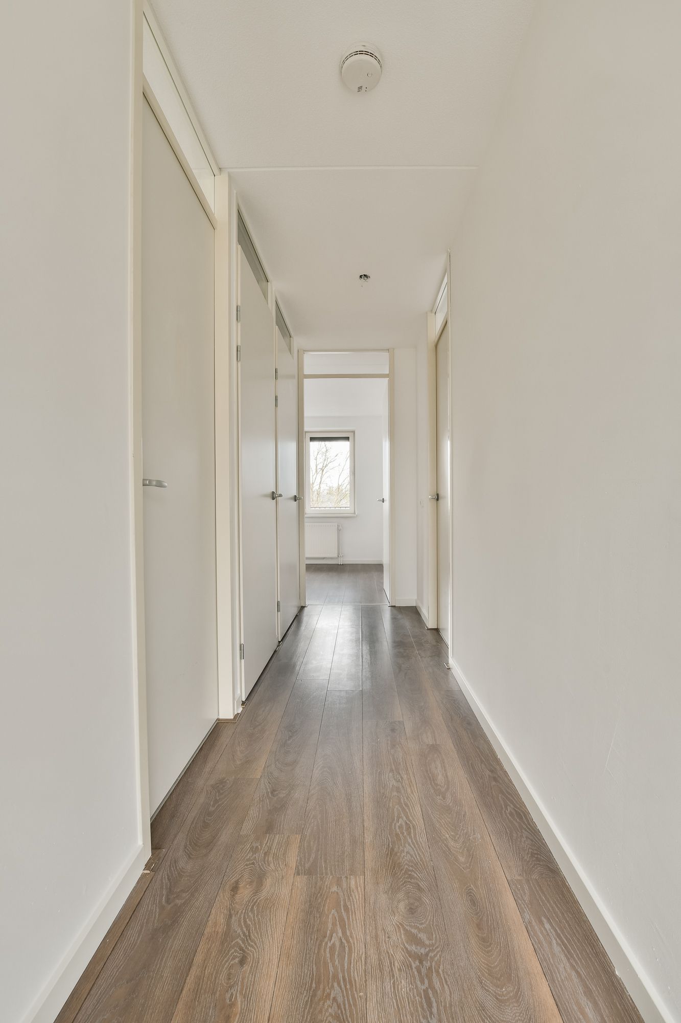 Foto 18 van Windestraat 150