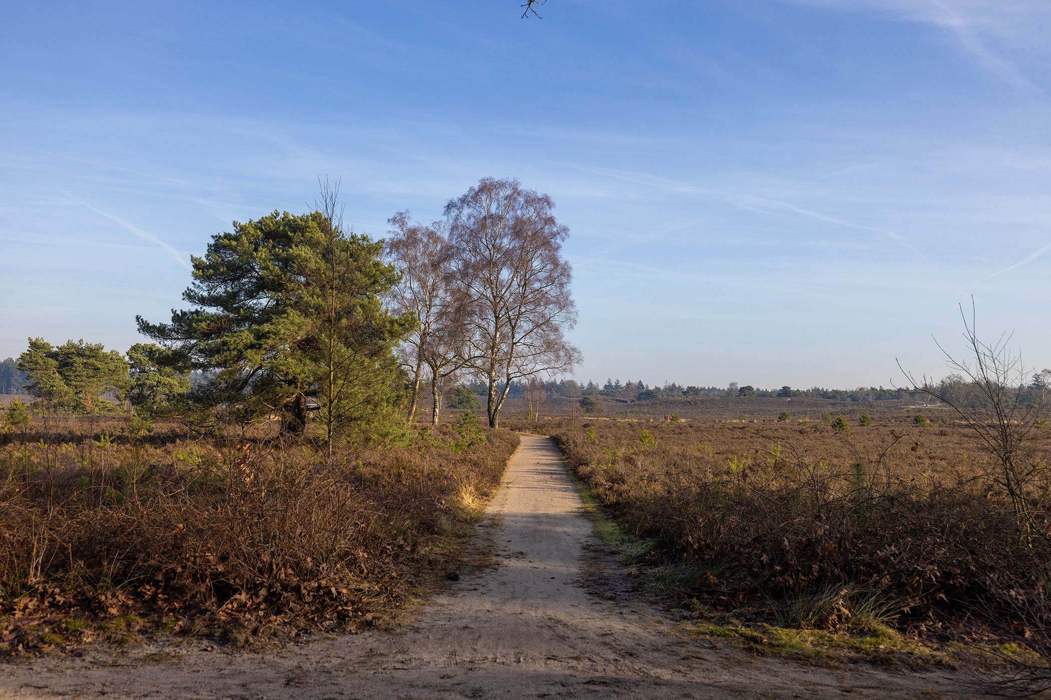 Foto 6 van Renderklippenweg 7