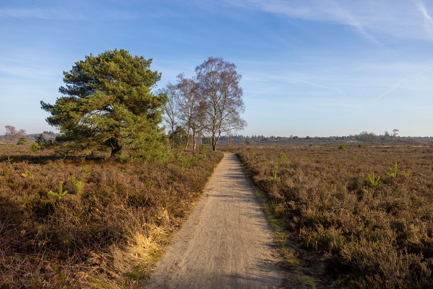 Foto 40 van Renderklippenweg 7