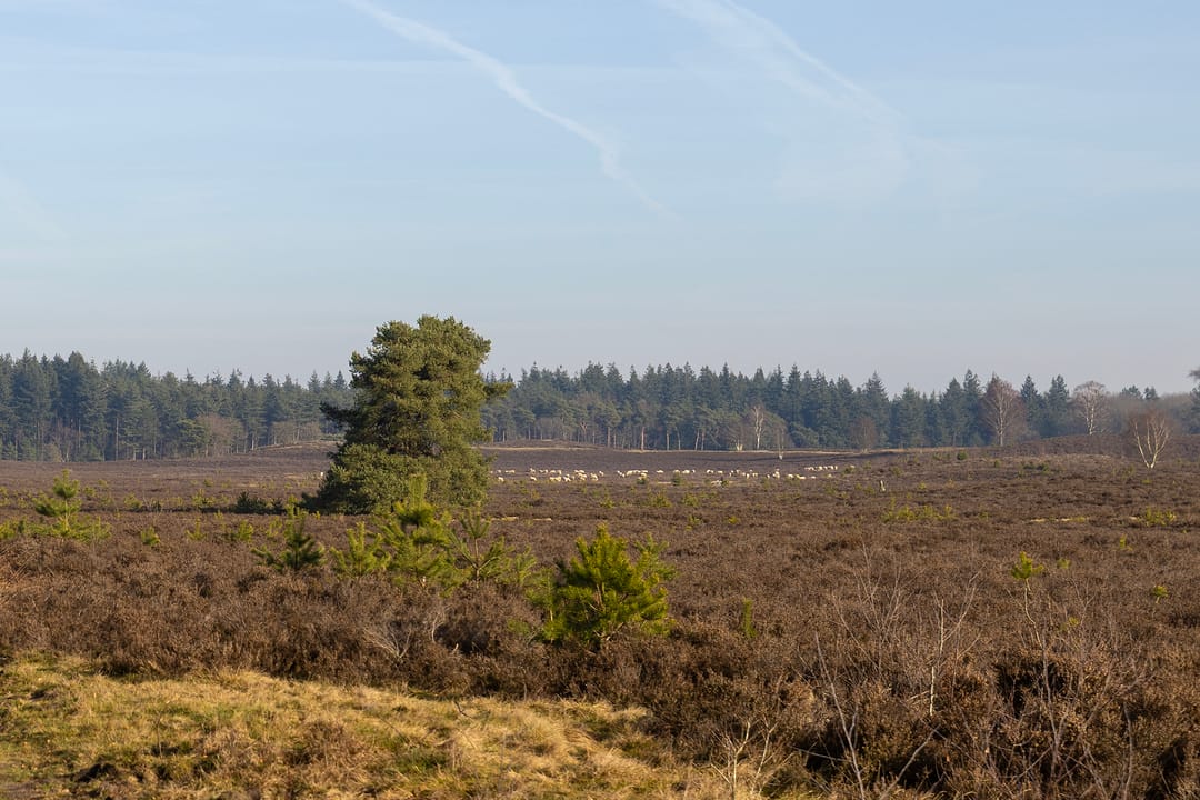 Foto 41 van Renderklippenweg 7