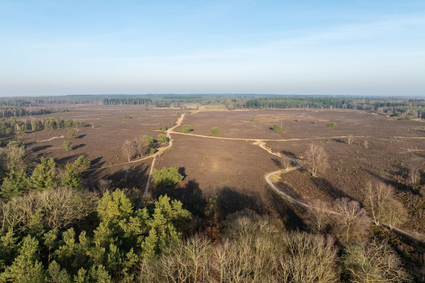 Foto 44 van Renderklippenweg 7