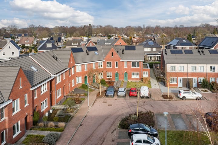 Foto 43 van Klokstaart 13