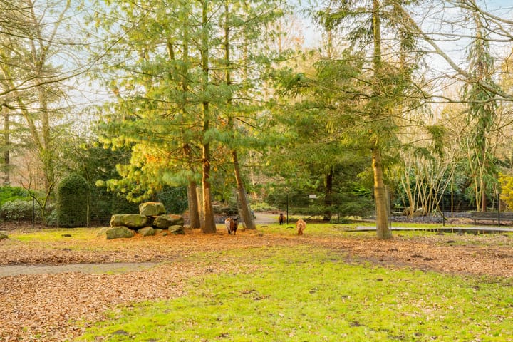 Foto 35 van Van Boshuizenstraat 147